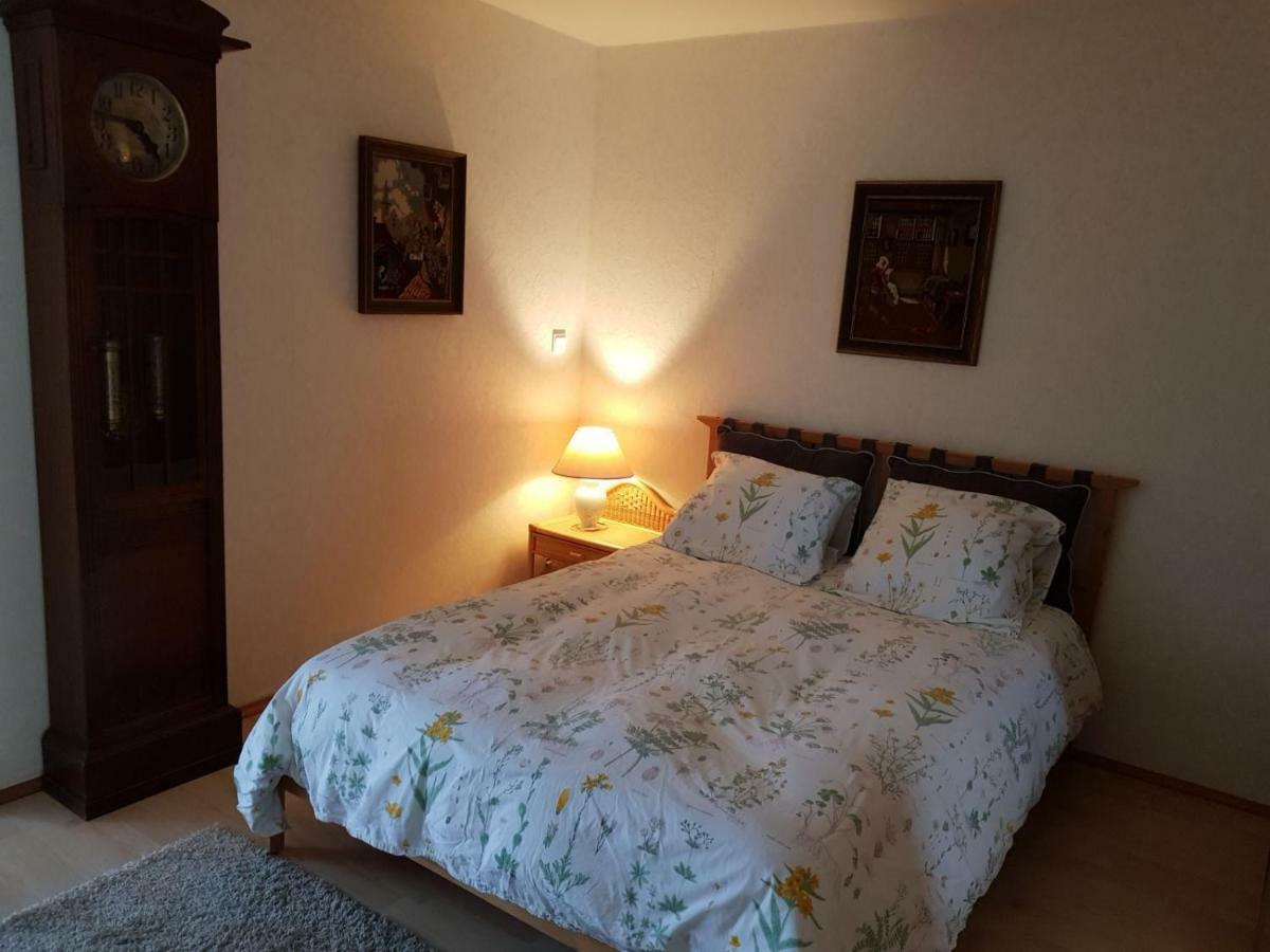 Villa Le Rabailly Mérenvielle Zewnętrze zdjęcie